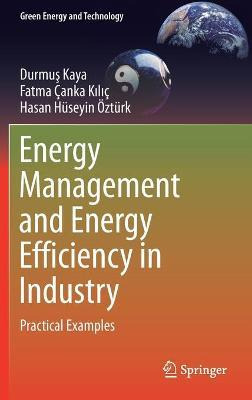 Libro Energy Management And Energy Efficiency In Industry...