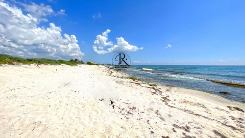 Puerto Morelos: Vive O Invierte En Un Lote Único Frente Al Mar