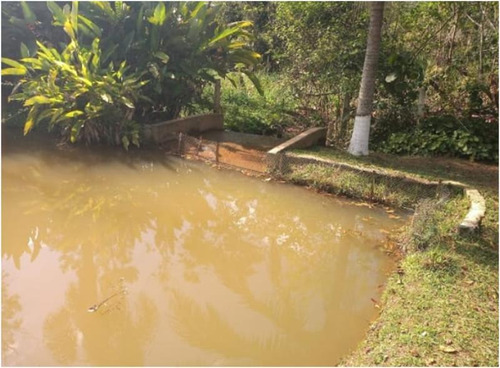 Imagem 4 de 14 de Excelente Chácara Com Piscina E Lago Cod: 4461