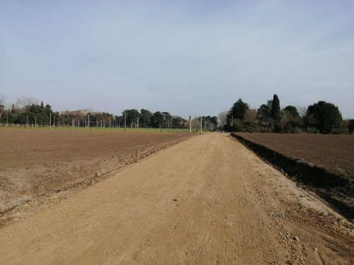 Imagen 7 de 9 de Exc Lotes En Barrio Las Perdices - 400 A 600 M² - Lobos