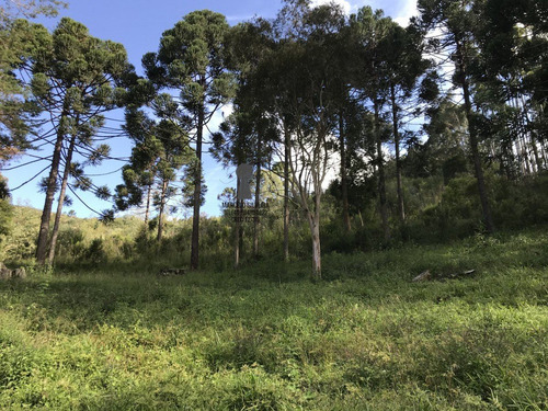 Chácara A Venda No Bairro Centro Em Bocaiúva Do Sul - Pr. - 459-1