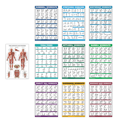 Quickfit - Juego De 10 Carteles De Ejercicios: Con Mancuerna