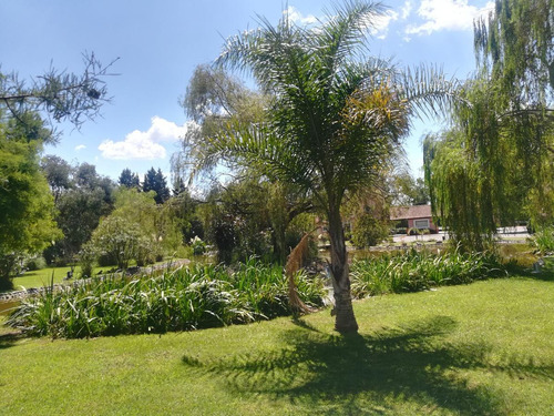 Imagen 4 de 29 de Casa En Venta - Haras Del Sol