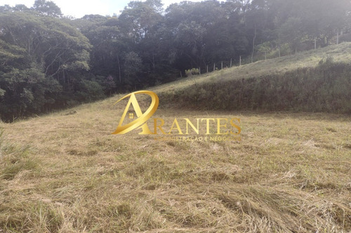 Imagem 11 de 14 de Terreno - Te00068 - 70716178