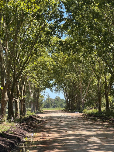 Venta - Lote Interno - Estancia Carabassa | Vco Propiedades