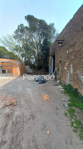 En Alquiler Galpón Tapalque