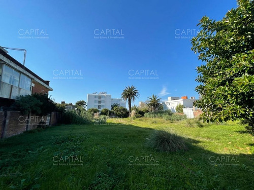 Imagen 2 de 11 de Excelente Terreno En Venta - Península Punta Del Este - Punta Del Este Peninsula
