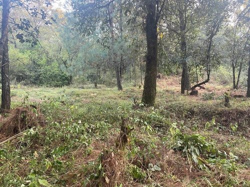Imagen 8 de 10 de Terreno En Paraje Cuacuametla, Fracc. Real Montecasino, En H