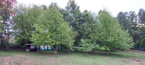Campo En Venta Inversionista Pitrufquen (104143)