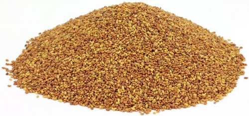 Alfalfa Semilla Importada 50 Gr - g a $274