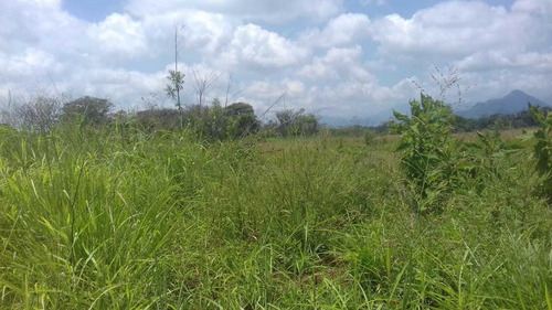Imagen 7 de 8 de Se Vende Terreno En Sta. Gertrudis (fortin) ¡ideal Para Desarrolladores!