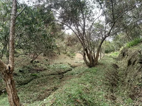 Venta Lotes Rionegro