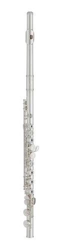 Flauta Transversal Yamaha Yfl222hd Plateada Msi