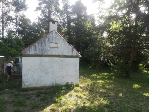Quinta Casa Terreno 2800 M2, 1372 E/1327 Y 1319, Villa San Luis, Florencio Varela