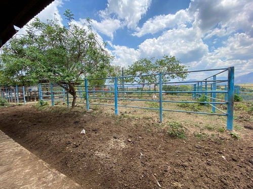 Imagen 12 de 14 de Granja En Venta En Valencia
