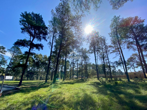 Terreno En Venta Chacras Del Pinar , Excelente Ubicacion 