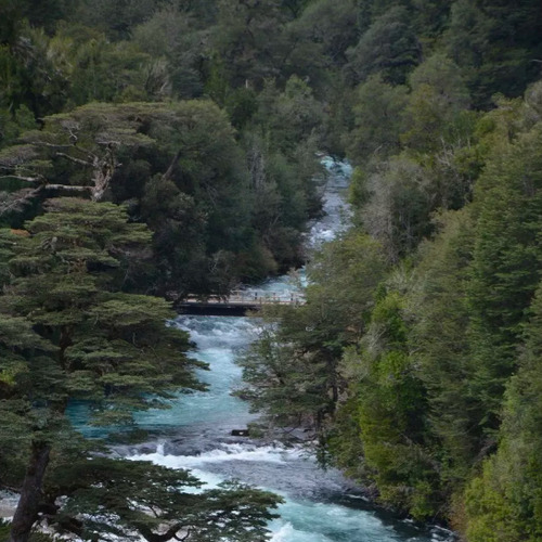 Parcela En Venta En Panguipulli