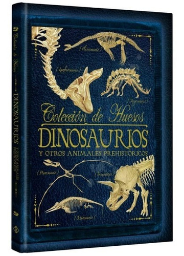 Colección De Huesos De Dinosaurios