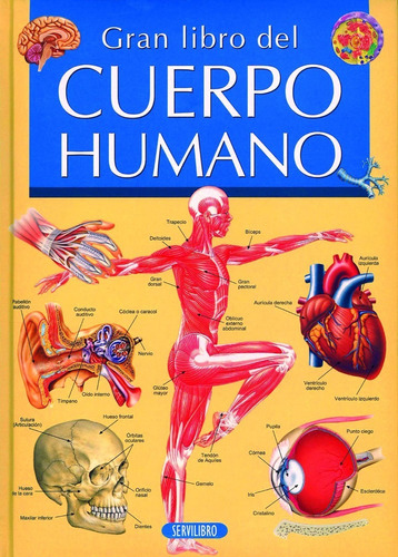 El Gran Libro Del Cuerpo Humano