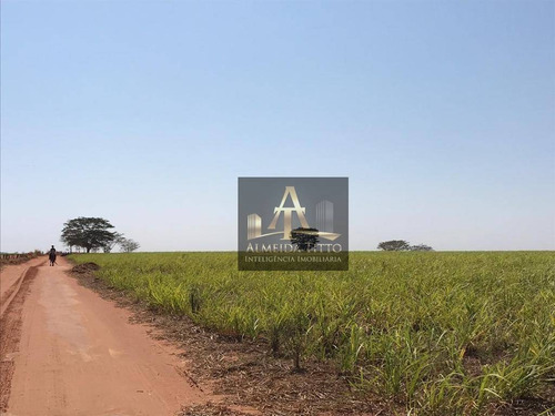 Imagem 17 de 18 de Excelente Fazenda Para Venda Em Nipoã - Sp - Confira!!!! - Fa0056
