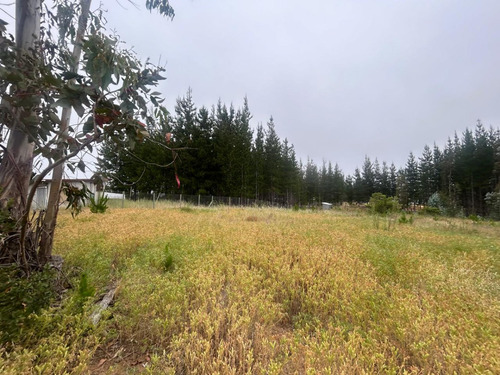Se Vende Parcela Orilla Carretera Lomas De Pichilemu