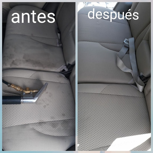 Imagen 6 de 9 de Lavado De Alfombras Y Muebles A Domicilio