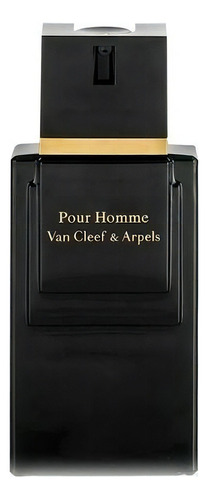 Van Cleef & Arpels para perfume masculino Edt 100ml =