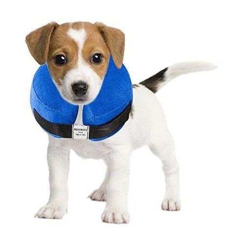 Bencmate Collar Inflable Protector Para Perros Y 5jglm