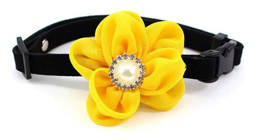 Petfavorites Collar De Flor De Sol Para Perro Y Gato, Pajari