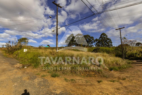 Imagem 5 de 10 de Terrenos - Ref: V5767