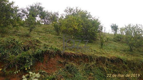 Imagem 26 de 27 de Sítio À Venda Em , 242000 M² Por R$ 960.000 - Eldorado/sp - Si0008