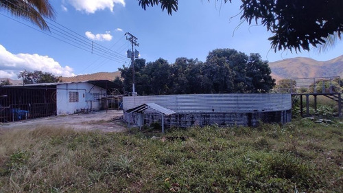 Imagen 10 de 30 de Joselyn Vargas Vende Finca Avicola En Vigirima 22-12944
