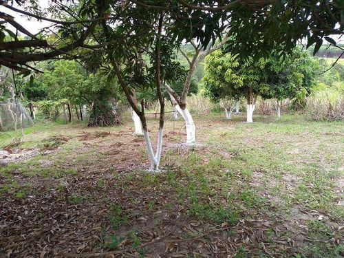 Imagem 7 de 19 de Chácara Com 4 Dormitórios À Venda, 20000 M² Por R$ 456.000,00 - Campo Alegre Iv - Bofete/sp - Ch0021