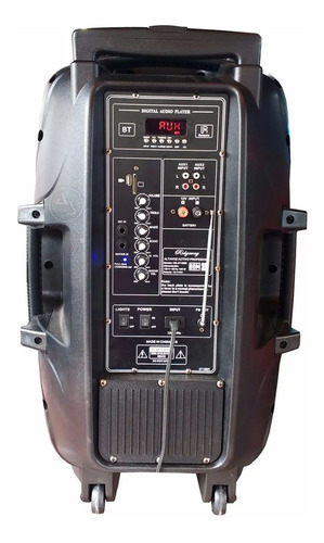 Bafle Amplificado Ridgeway 15 Recargable Bluetooth, Fm, Usb | Envío gratis