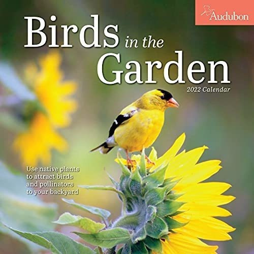 Audubon Birds In The Garden Wall Calendar 2022 -..., de National Audubon Soci. Editorial Workman Publishingpany en inglés