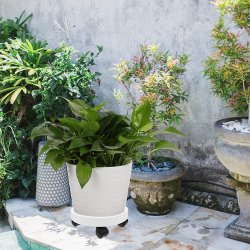 Rueda Universal Pallet Mobile Pot Base