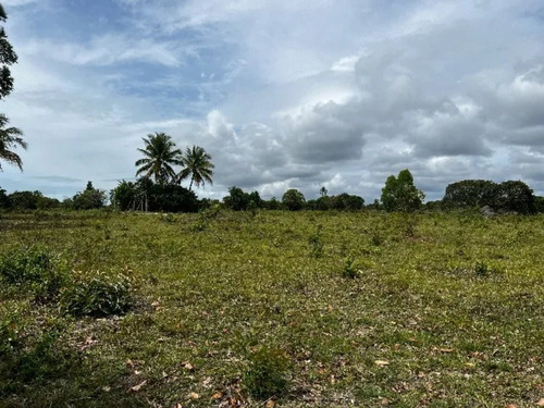 Terreno 29.500 Metros Pertinho Da Praia Com Rio E Linda Mata. Escriturado - Cumuruxatiba - Preço De Ocasião!
