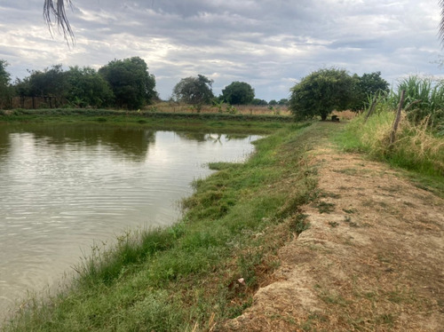 Finca En El Asentamiento Campesino Las Mariposas, El Socorro Municipio Valencia.