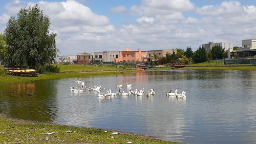 Imagen 10 de 13 de Venta Terreno - El Canton - Islas Al Agua