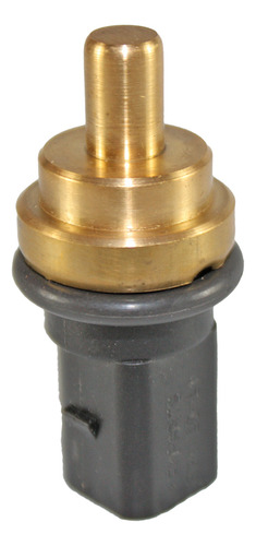 Sensor Temperatura Refrigerante Audi S8 09-09 5.2 V10 Mx