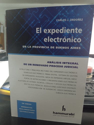 El Expediente Electronico En La Provincia De Buenos Aires