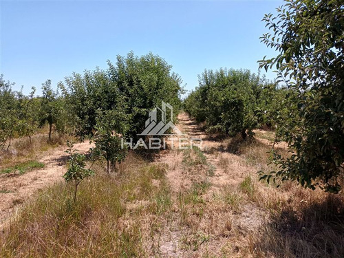 Imagen 30 de 30 de Agrícola En Venta En Curicó