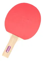 Comprar Paleta De Ping Pong 1 Estrellas Tenis De Mesa Sensei