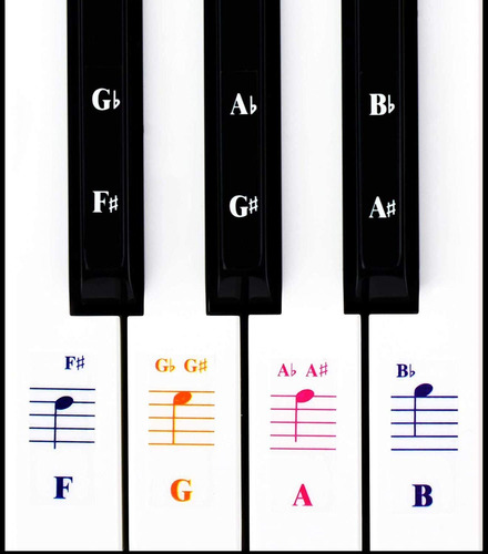 Pegatinas De Notas Para Teclado De Piano 88/61/54/49/37 Tecl