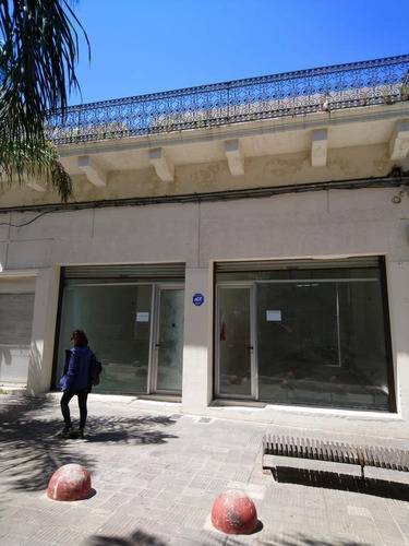 Imagen 5 de 30 de Gran Local Comercial, En Peatonal