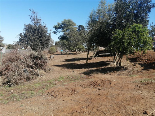 Sitio En Venta Sector Los Pinos, Semi Plano, Pasaje, Reñaca