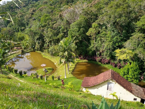 Imagem 10 de 30 de Sítio Ideal Para Lazer E Moradia Á Apenas 700 Metros Da Rodovia, Com Belíssima Casa Sede Em Juquitiba/sp! - 05 - 33845423