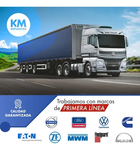 Curva De Escape Mwm Acteon Vw 17260 Bus