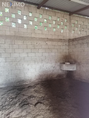 Imagen 24 de 30 de Casa En Venta De Un Piso En Cholul Mérida, Yucatán Con Grandes Jardines Y Alberca
