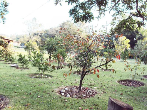 Chácara Com 5 Dorms, Sítio Da Moenda, Itatiba - R$ 1.3 Mi, Cod: Ch086 - Vch086
